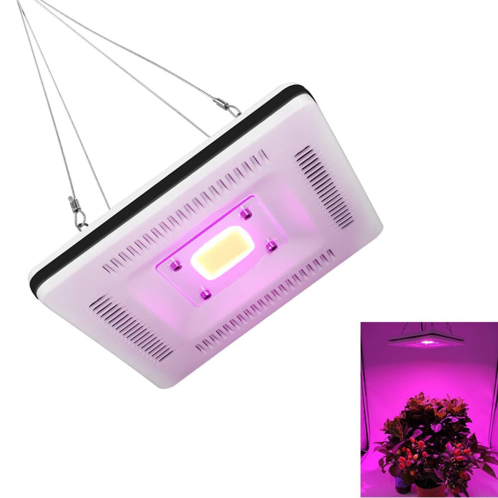 (EU Plug) 50W COB LED Square Full Spectrum Grow Light Waterproof IP64 Flood Lamp Plant Flower Indoor Hydroponic Greenhouse