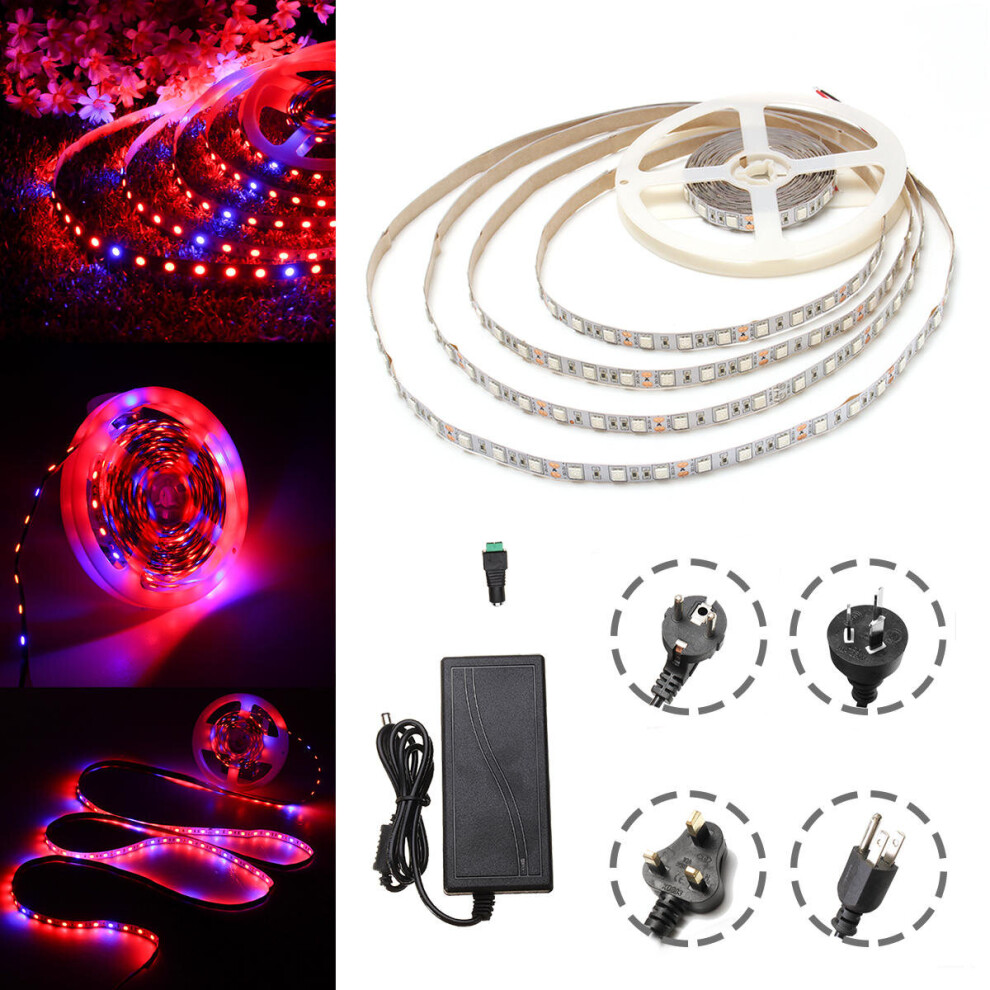 (AU Plug) DC12V 5M Non-waterproof SMD5050 R:B 3:1 Grow LED Strip Light + 5A Power Adapter + Female Connector