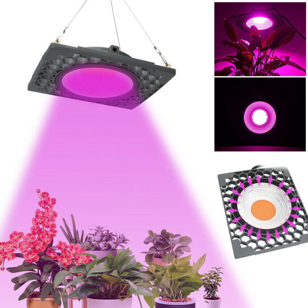 (110V) 50W Full Spectrum LED Grow Light Veg Seed Greenhouse Super Cooling Plant Lamp AC110V/220V