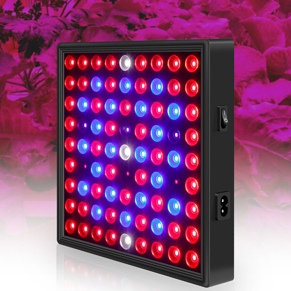 (EU Plug, Big) 91/169LED Grow Light Plant Growing Lamp With Clip For Indoor Plants Vegetable AC85-265V