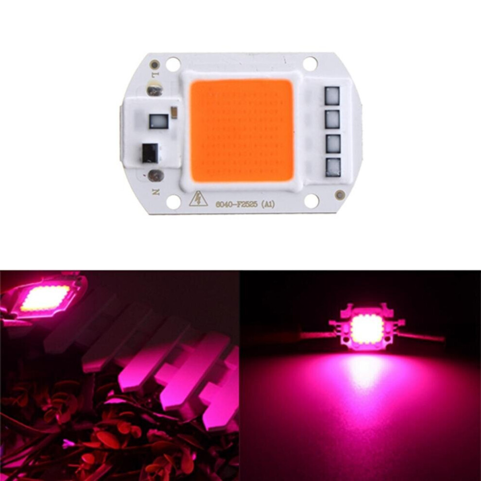 (220V) 50W Full Spectrum LED COB Chip Plant Grow Light AC220/110V