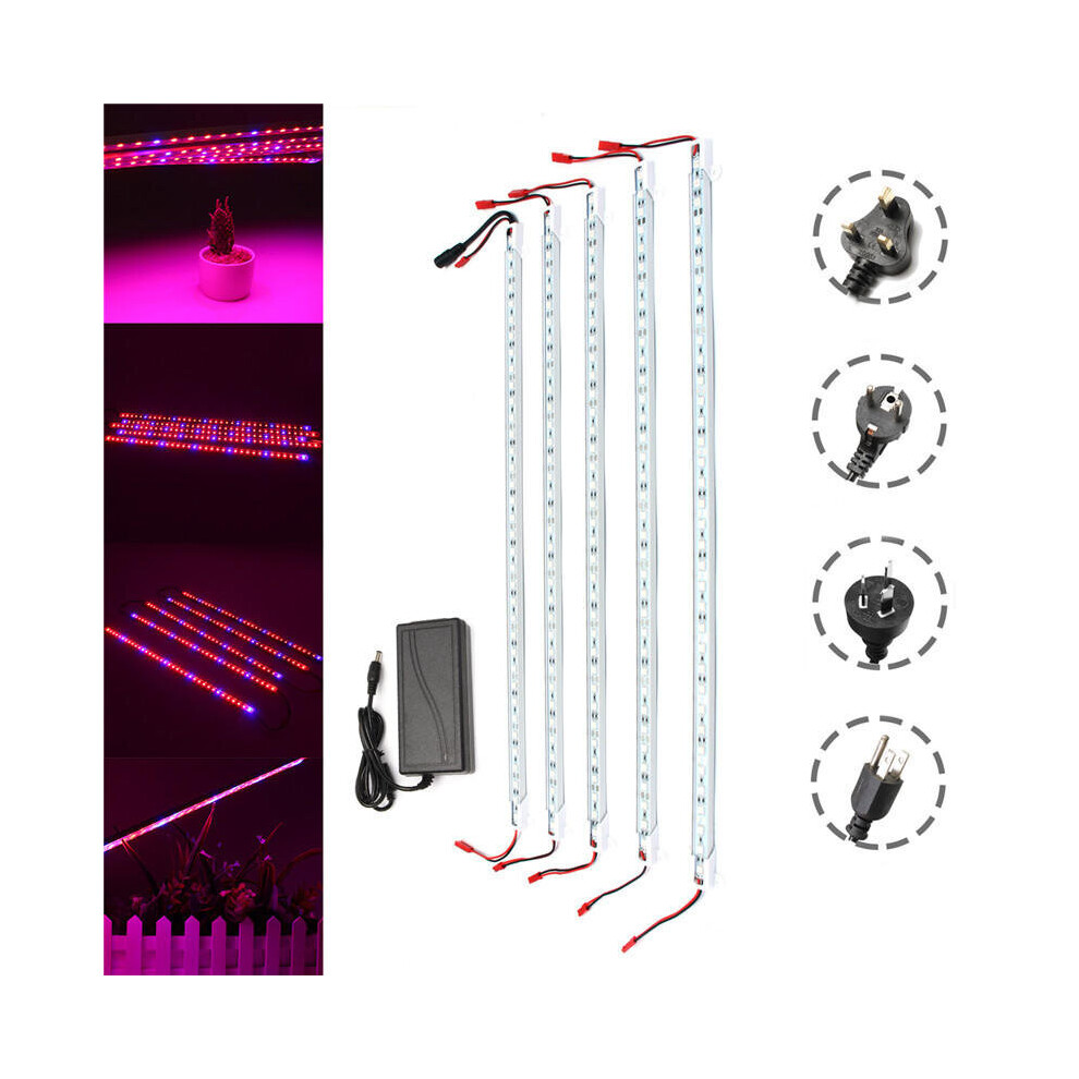 (AU Plug) DC12V 5PCS 50CM Waterproof SMD5050 Red:Blue 5:1 36LED Strip Plant Garden Grow Light+5A Power Adapter