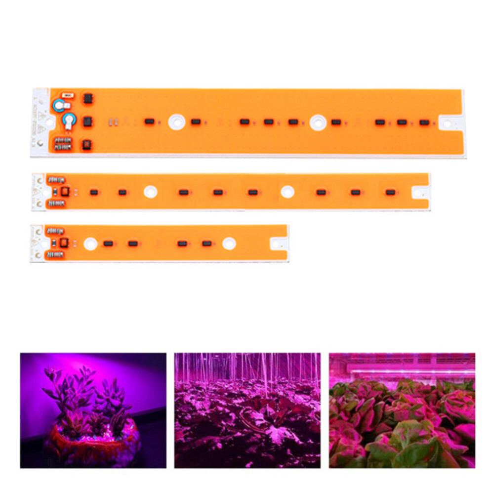 (AC110V, 80W) AC110V/220V 30W 50W 80W Full Spectum LED COB Chip Grow Light Source for Flood Iodine-tungsten Lamp