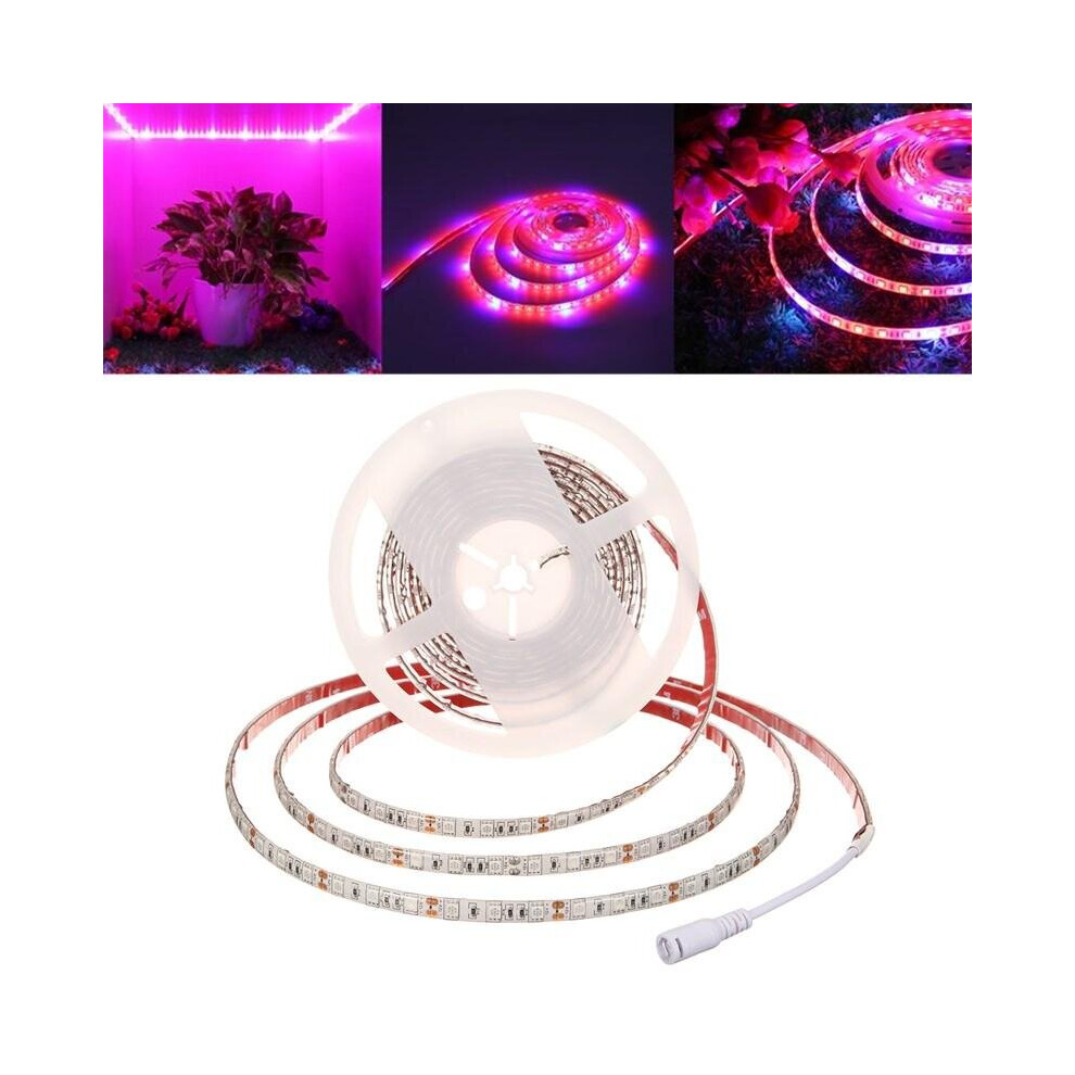 (US Plug) 5M SMD5050 Waterproof Full Spectrum LED Plant Grow Strip Light for Greenhouse Aquarium DC12V