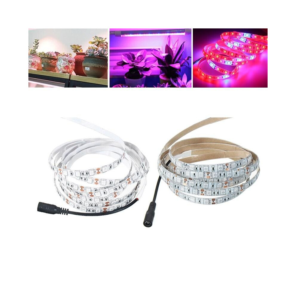 (Yes) 3M SMD5050 Red:Blue 5:1 Full Spectrum LED Grow Strip Hydroponic Plant Light Kit+Power Adapter DC12V