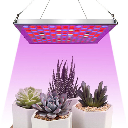 169LED LED Grow Plant Light Full Spectrum Hydroponic Panel Lamp Growing Indoor 2