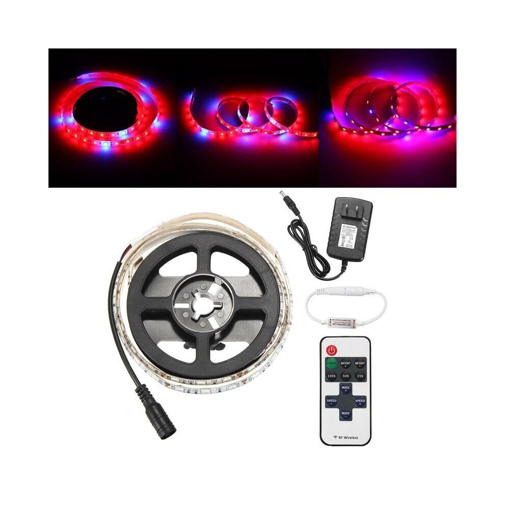 (No) 1M SMD5050 Red:Blue 5:1 Full Spectrum LED Grow Strip Light Hydroponic Greenhouse Plant DC12V