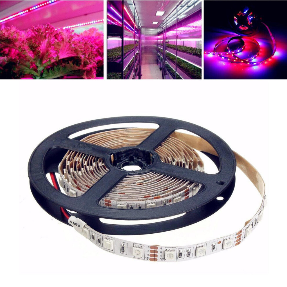 (2M) 1M/2M/3M/4M/5M SMD5050 Non-Waterproof LED Grow Lights Full Spectrum Plant Strip Lamp DC12V