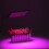 169LED LED Grow Plant Light Full Spectrum Hydroponic Panel Lamp Growing Indoor 5