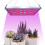 169LED LED Grow Plant Light Full Spectrum Hydroponic Panel Lamp Growing Indoor 1