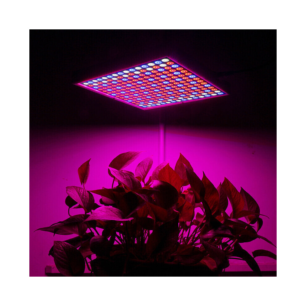 1200W LED Spectrum Grow Light Growing Lamp for Hydroponic Indoor Plant