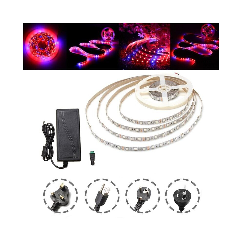 (UK Plug) DC12V Non-waterproof 5M Red:Blue 4:1 SMD5050 Full Spectrum LED Strip Grow Light + Power Supply