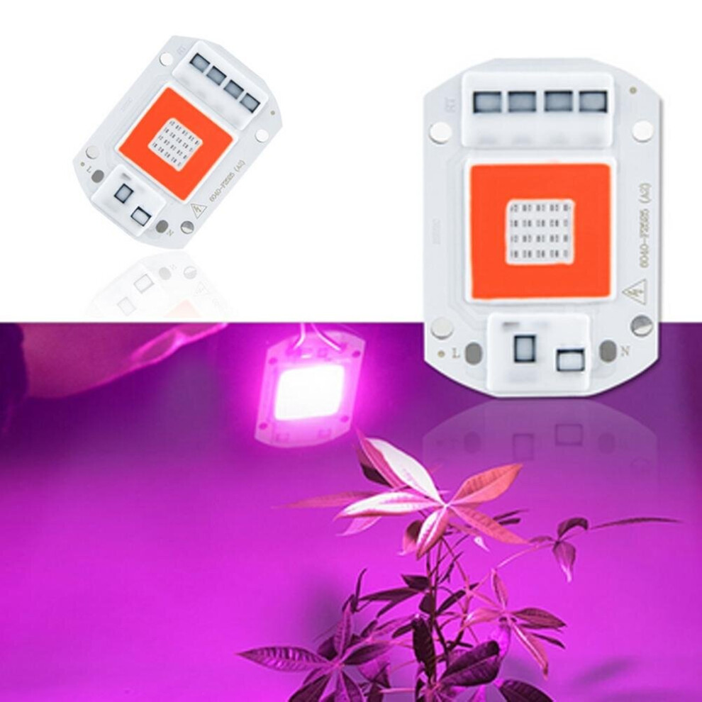 (AC220V, 50w) AC110V/AC220V 20W 30W 50W Full Spectrum Red & Blue LED Grow Light Chip for Indoor Plants Flowers