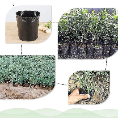 Kryc  500pcs Plastic Nursery Pot Plant Propagation Container 8cmx8cm 1