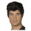 Adult Official Grease Danny Wig 1