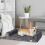Bingopaw (L(100*75*8cm)) Heated and Cooling Combination Cover Dog Bed Sofa 4