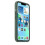 (Eucalyptus) Silicone Case With Magsafe For Iphone 13 Phone Case 3