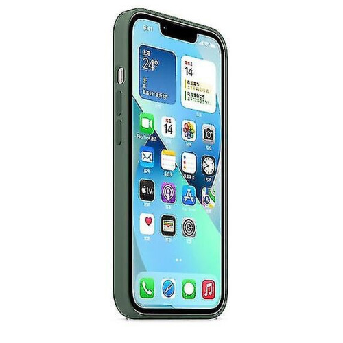 (Eucalyptus) Silicone Case With Magsafe For Iphone 13 Phone Case 2