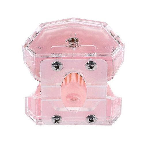 Dental Orthodontic Typodont Plastic Standard Model 4004 With 28 Removeable Teeth 1