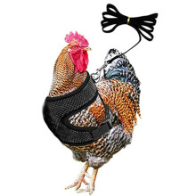 (Black, M) Adjustable Chicken Harness With Leash- Comfortable Hen Vest Breathable Mesh