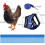 (Blue, M) Adjustable Chicken Harness With Leash- Comfortable Hen Vest Breathable Mesh 5