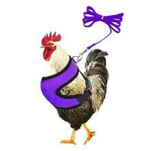 (Purple, S) Adjustable Chicken Harness With Leash- Comfortable Hen Vest Breathable Mesh