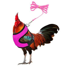 (Pink, M) Adjustable Chicken Harness With Leash- Comfortable Hen Vest Breathable Mesh