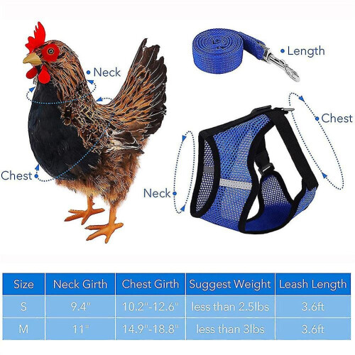 (Blue, S) Adjustable Chicken Harness With Leash- Comfortable Hen Vest Breathable Mesh 2