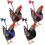 (Blue, M) Adjustable Chicken Harness With Leash- Comfortable Hen Vest Breathable Mesh 2