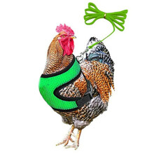 (Green, M) Adjustable Chicken Harness With Leash- Comfortable Hen Vest Breathable Mesh
