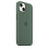 (Eucalyptus) Silicone Case With Magsafe For Iphone 13 Mini Phone Case 2