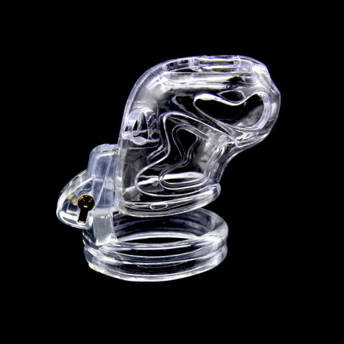 Dicktator Smooth ABS Chastity Cage (Clear)