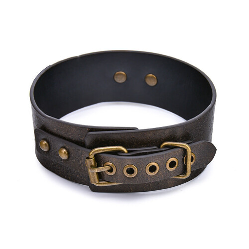 Brown Leather Collar with a Loop Handled Leash 2