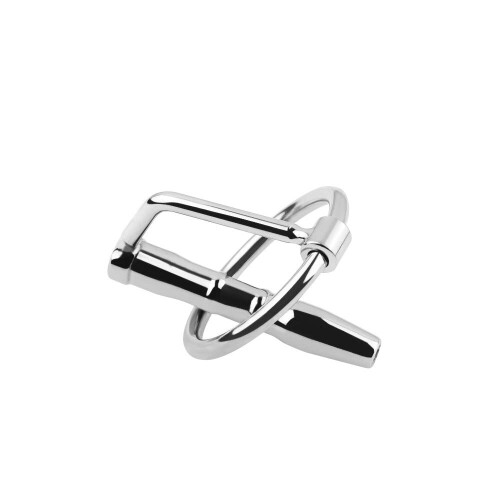 Restricted Access Chastity Ring & Urethral Sound 2