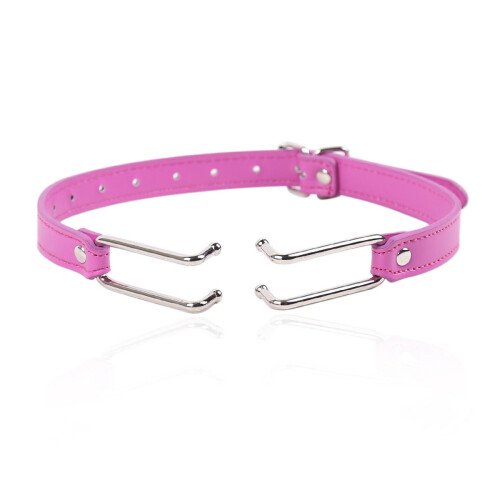 Pink Faux Leather Mouth Hook Gag