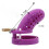 Spotted Dick Purple Chastity Cage (Small) 1