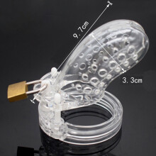 Spotted Dick Clear Chastity Cage (Small)