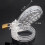 Spotted Dick Clear Chastity Cage (Large) 2
