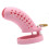 Spotted Dick Pink Chastity Cage (Large) 1