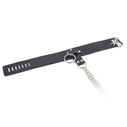 Bondage Collar, Chain and Nipple Clamps 2