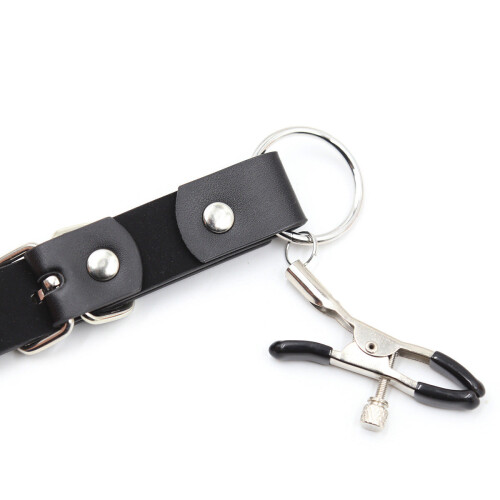 Labial Clamps and Belt 2