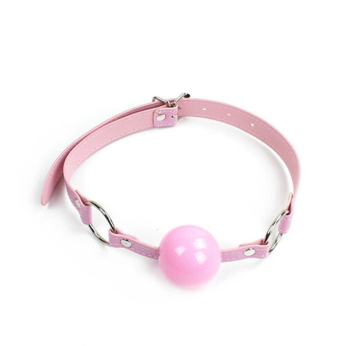 Pretty Pink Plastic Ball Gag 1