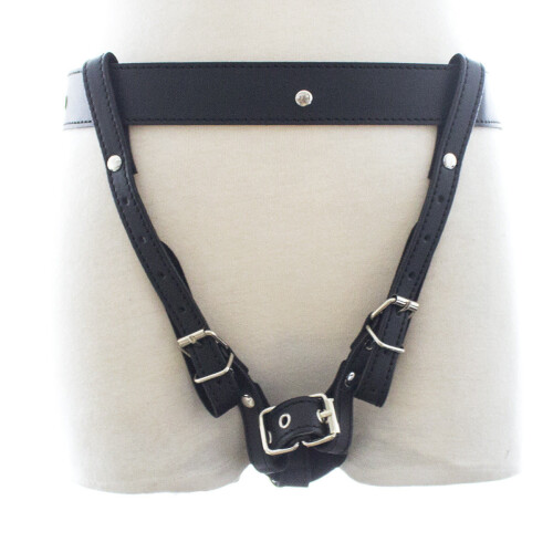 Handsfree Vibrating Wand Harness 1