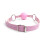 Pretty Pink Plastic Ball Gag 4