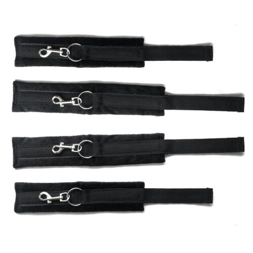 Multi-Positional Bed Restraint System 2
