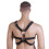 Double Ring Black Male Harness 2
