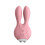 Clitoral Rabbit Rechargeable Vibrator (Pink) 1