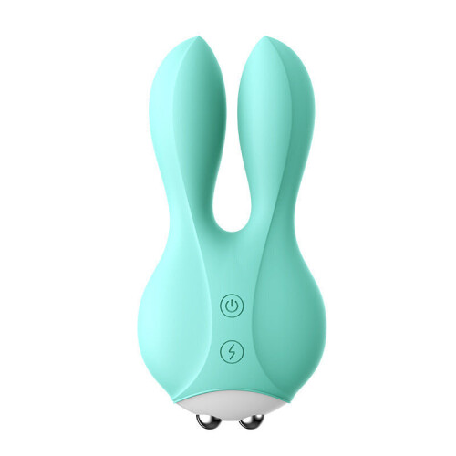Clitoral Rabbit Rechargeable Vibrator (Aqua) 2