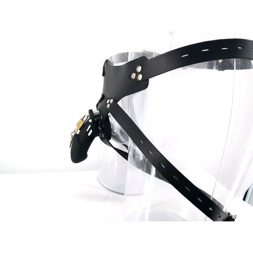 Adjustable Harness with Chastity Cage 2