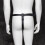 Male Chastity Belt with Buckle Detail 4